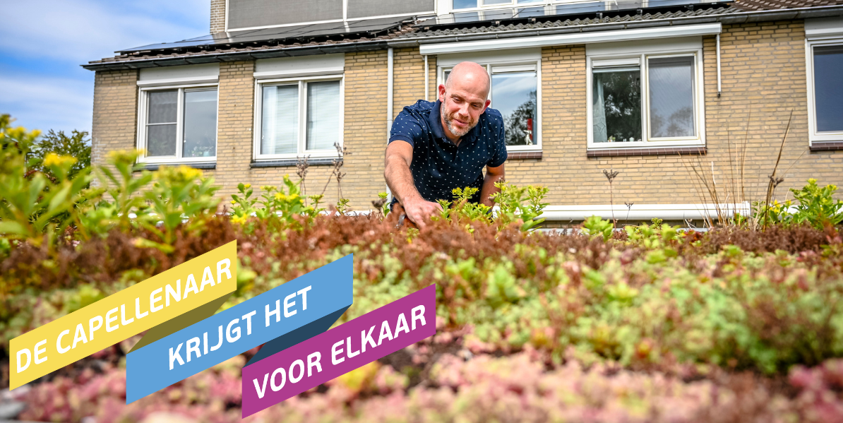 De Capellenaar Krijgt Het Voor Elkaar Door Het Groene Dak Blijft De