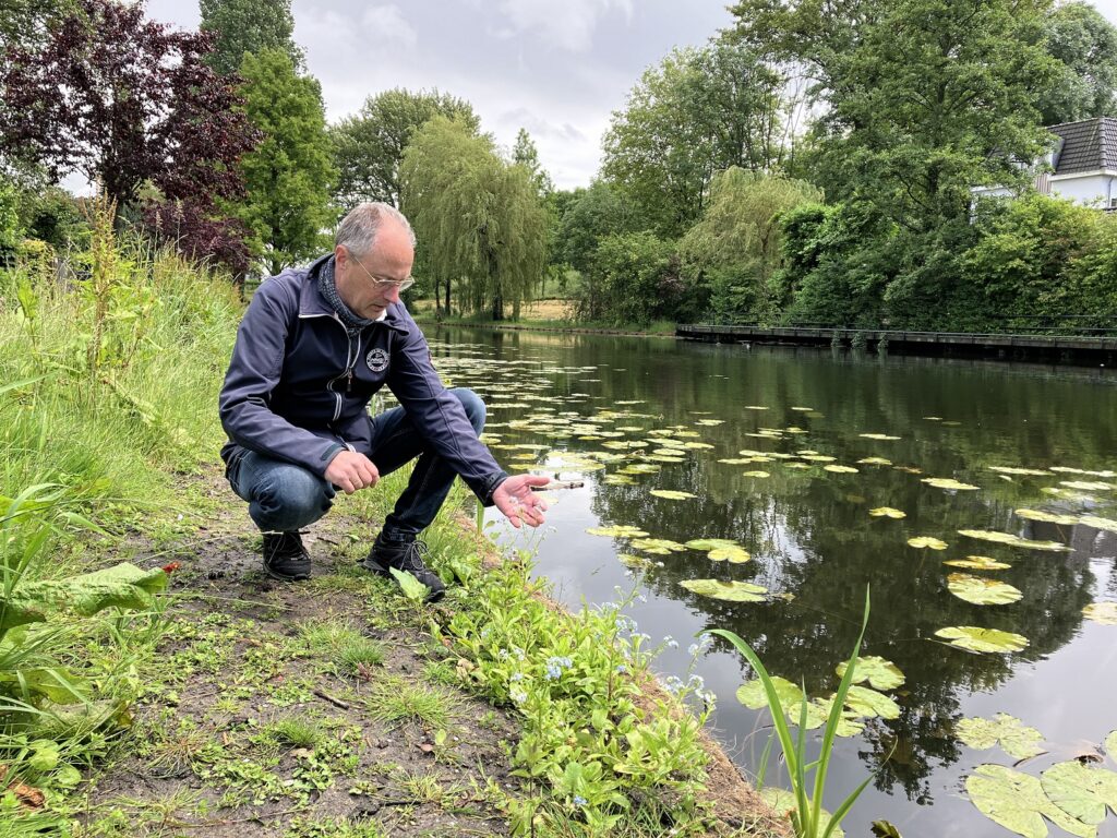 Martin Braal laat zien hoe groen de natuurvriendelijkere oevers zijn