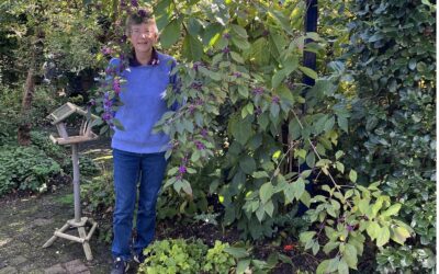 Anjenneke in de tuin met een vogelvriendelijke plant en voederplaats voor vogels