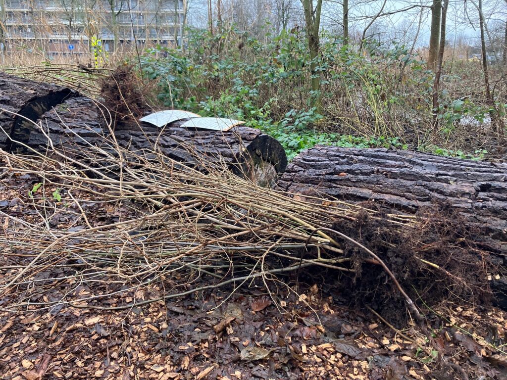 Geoogste zaailingen in Capelle op een stapel